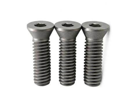 TORX® T25 刀具螺丝 | M6×20(牙距 1.0)12.9 级