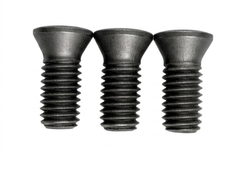 TORX® T20 刀具螺丝 | M5×12(牙距 0.8)12.9 级